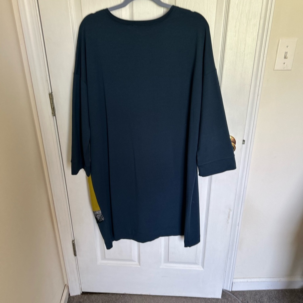 Relaxed Teal Dress with Contrast Pocket - Picture 2 of 2